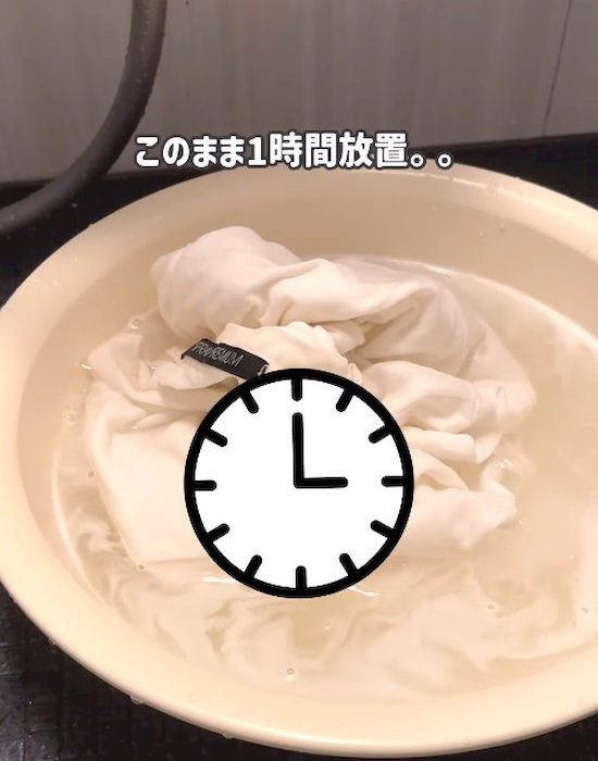 放置している様子
