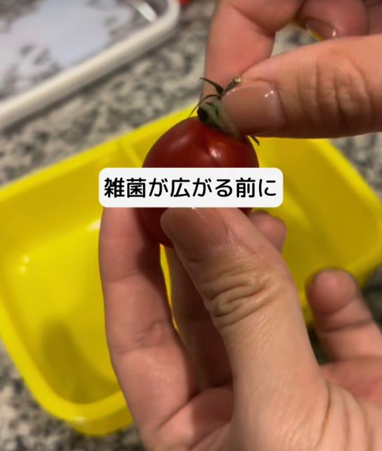 ヘタ付きのミニトマト