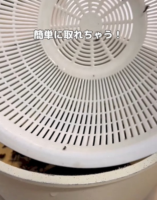 ザルの表面