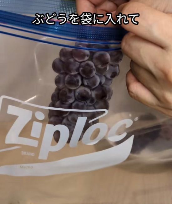 デラウェアを袋に入れる様子