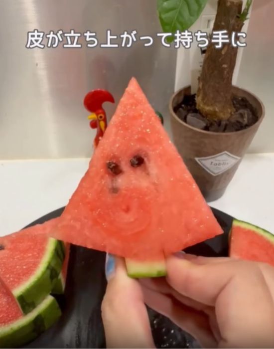 持ち手の付いたスイカ