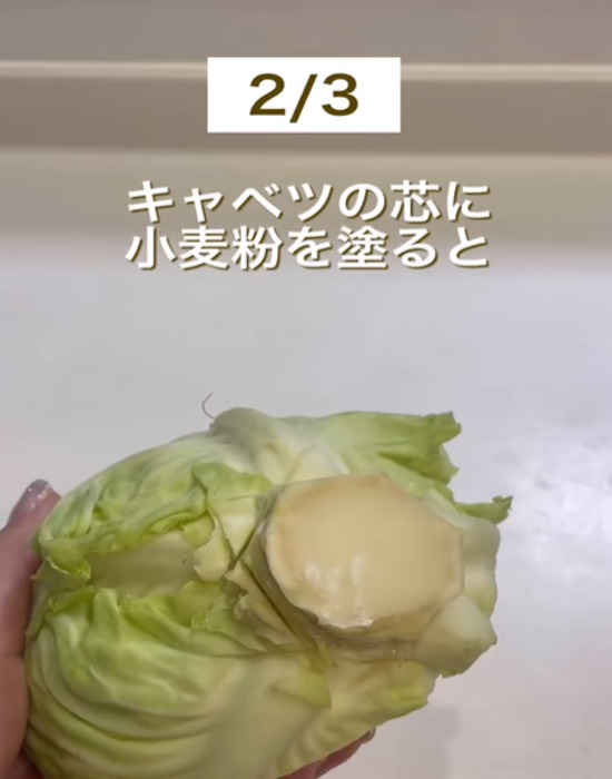 小麦粉を塗ったキャベツの芯