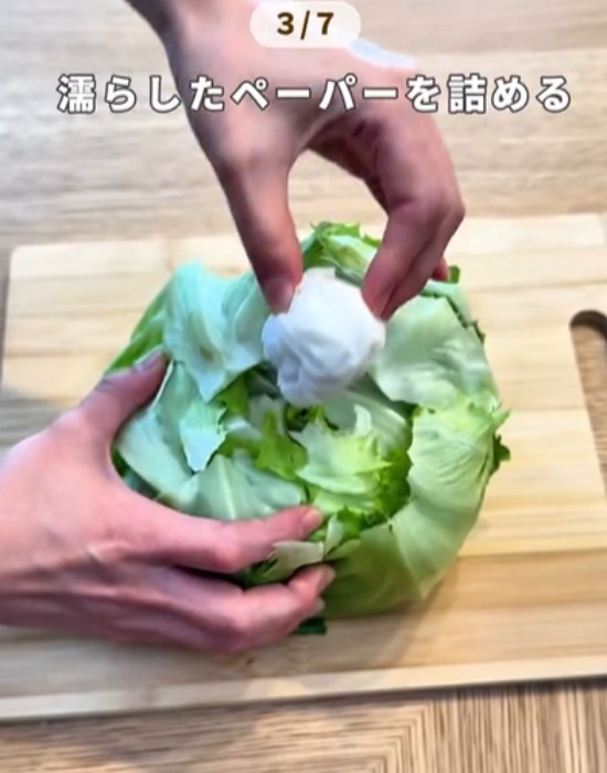 レタスの芯にキッチンペーパーを入れる様子
