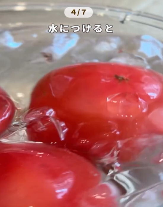 トマトを水に漬ける様子