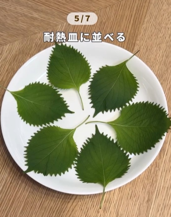 耐熱皿に並べた大葉
