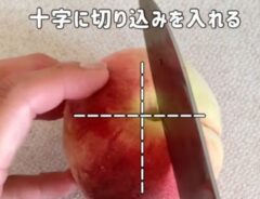 桃
