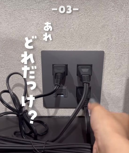 電源プラグに迷う様子
