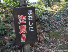 まむしへの注意をうながすアイキャッチ画像