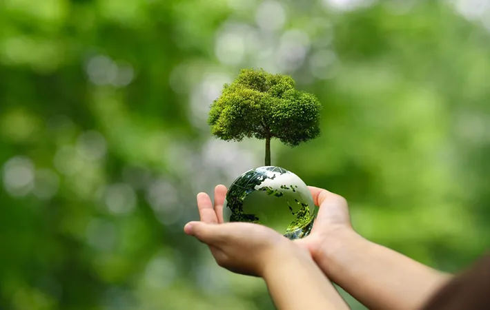 オケラの絶滅を防ぐためにどんな対策がされている？