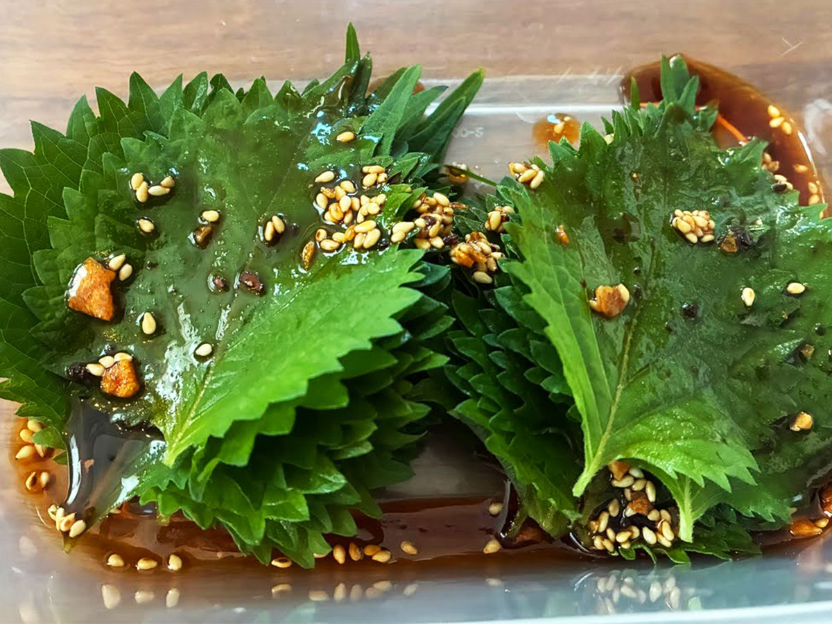 大葉