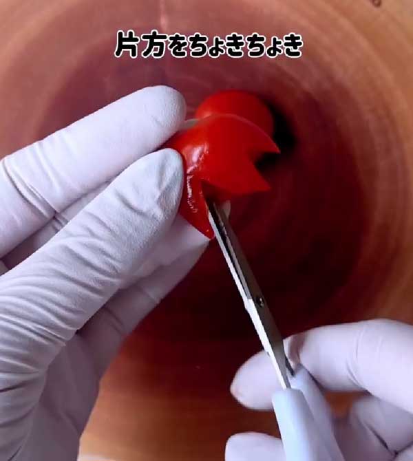 ミニトマトの画像