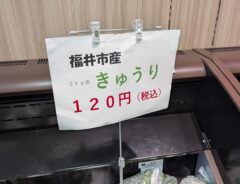 キュウリの売り場の写真