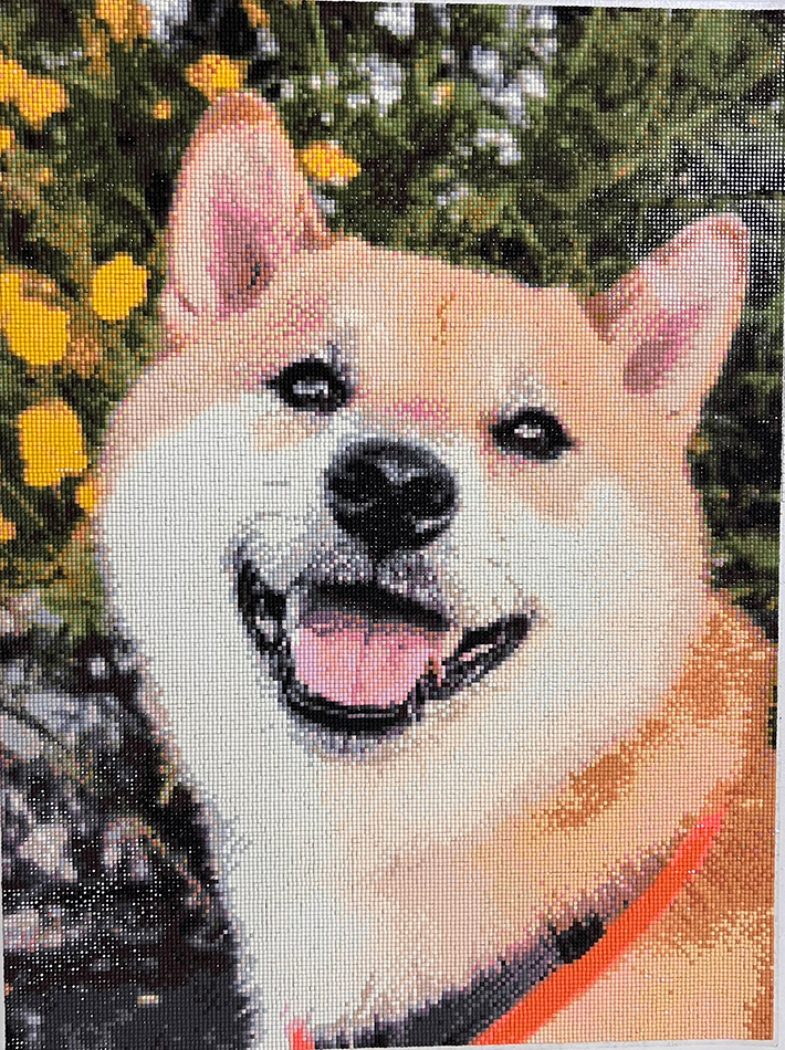 柴犬のふう太くんのダイヤモンドアート