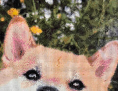 柴犬のふう太くんのダイヤモンドアート