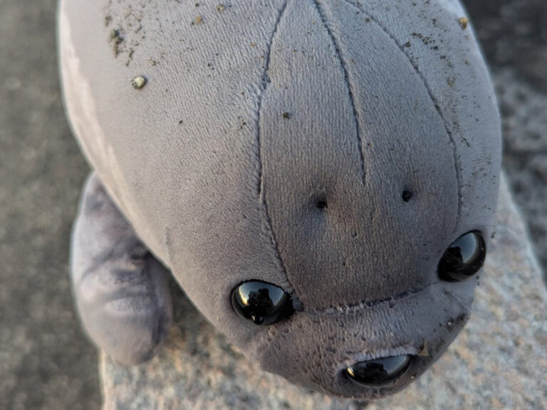 アザラシのぬいぐるみ
