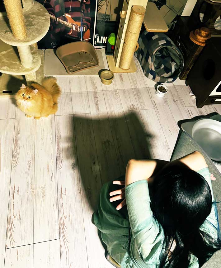 妻と猫