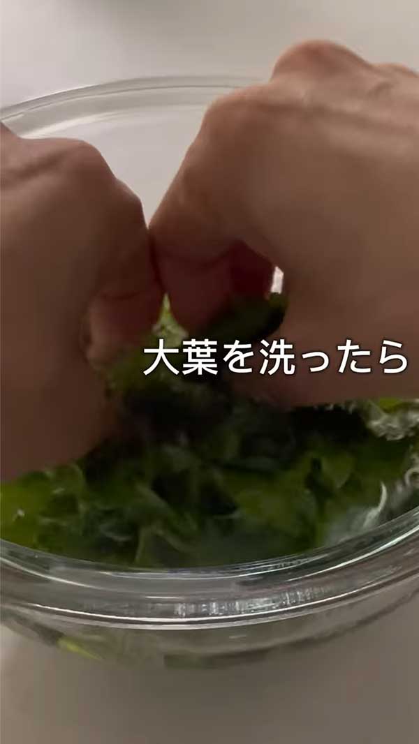 大葉の写真