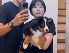 amber___diaryさんの投稿動画