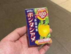 ボンタンアメの写真