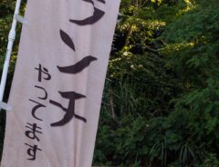 店ののぼり