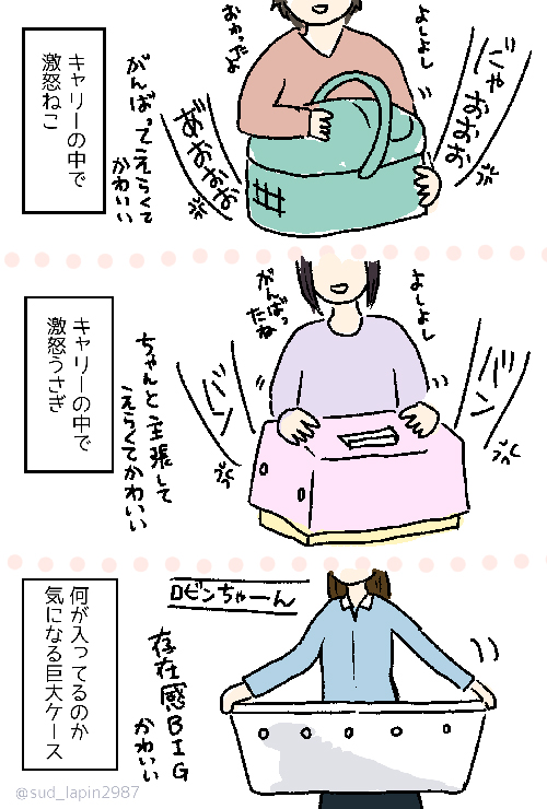 南兎（@sud_lapin2987）さんの漫画