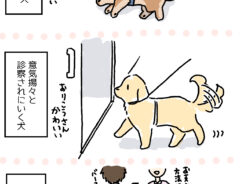 南兎（@sud_lapin2987）さんの漫画