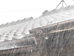 雨と家の写真