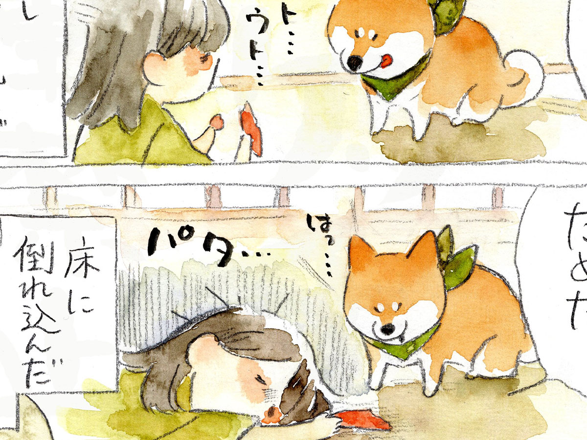 犬山スケッチさんの漫画の画像