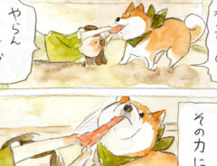 犬山スケッチさんの漫画の画像