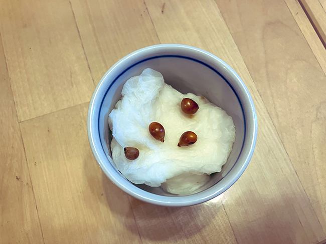 弾けなかったポップコーンの種