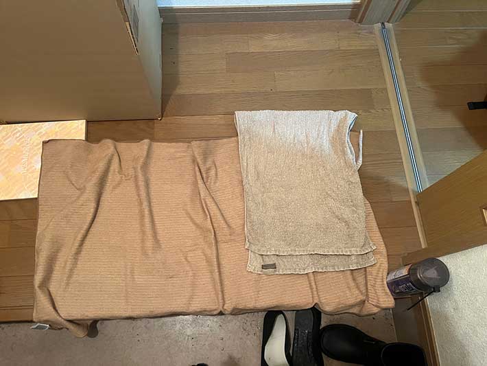 玄関に広がるタオル