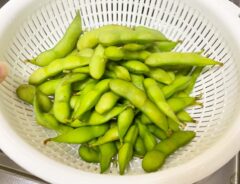 枝豆の写真
