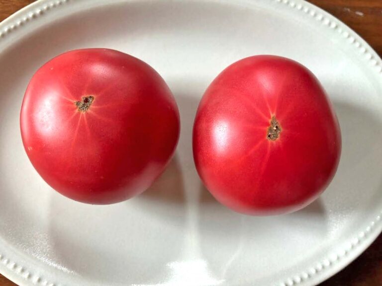 トマトの写真