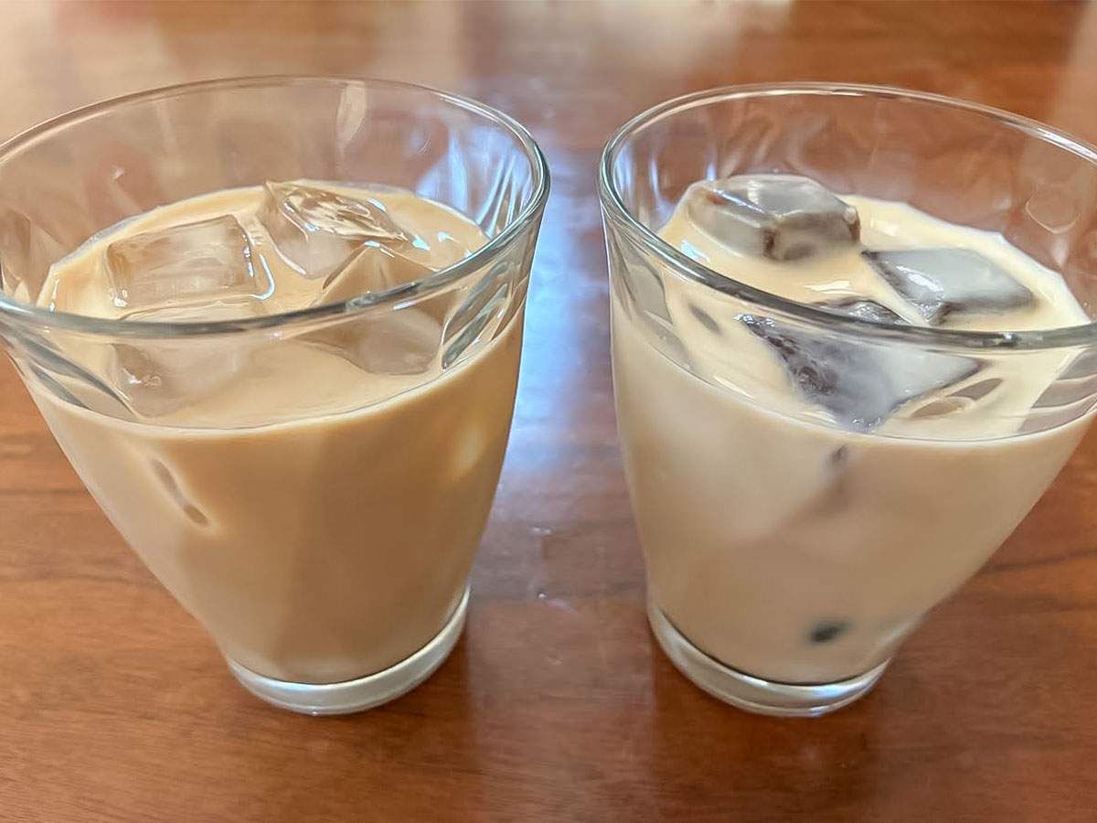 コーヒー氷と普通の氷の比較写真