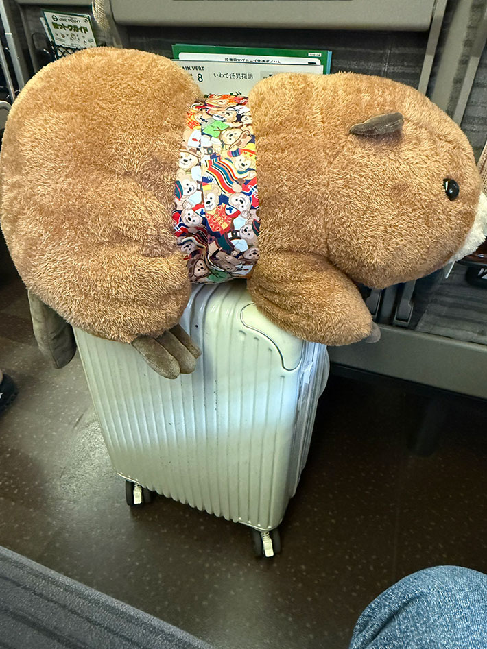 ぬいぐるみの写真