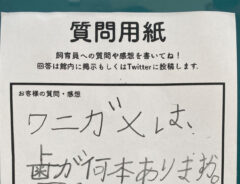 貼り紙