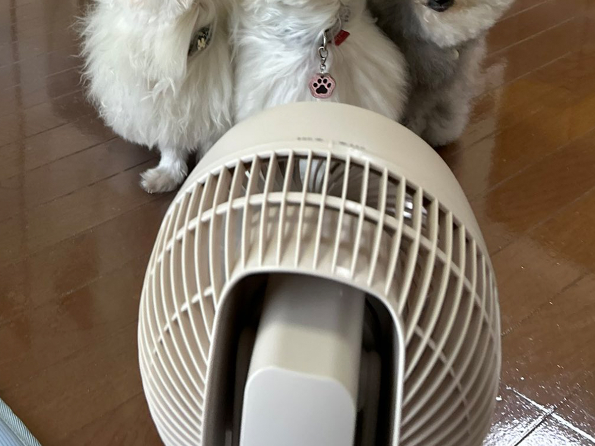 サーキュレーターの写真