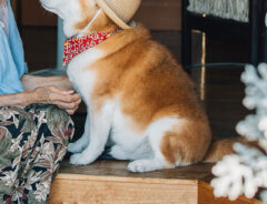 YASUTOさんの写真