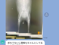 LINEの写真