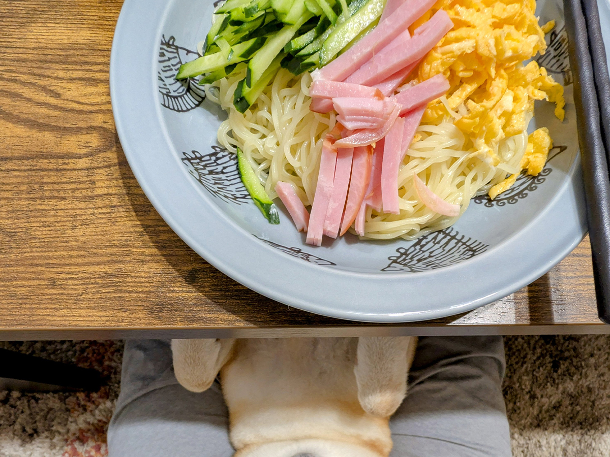 冷やし中華と柴犬