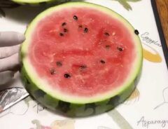 スイカ