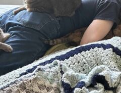 男性と猫の写真