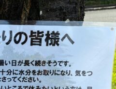 貼り紙の写真