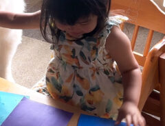子供の写真