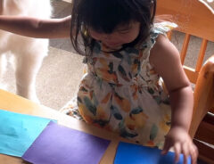 子供の写真
