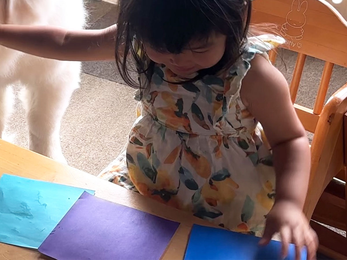 子供の写真
