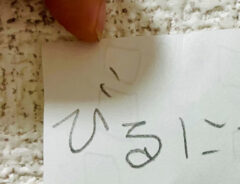 紙の写真