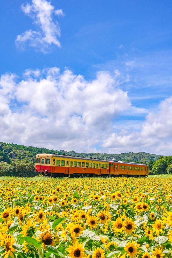 小湊鉄道の画像