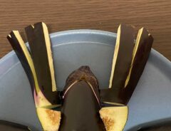 精霊馬の画像