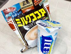 アイスボックスと森永ミルクココアの写真